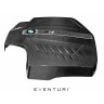 BMW F87 M2 Black Carbon Engine Cover
