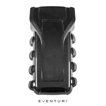 Audi B8 RS5/RS4 Black Carbon Engine Cover