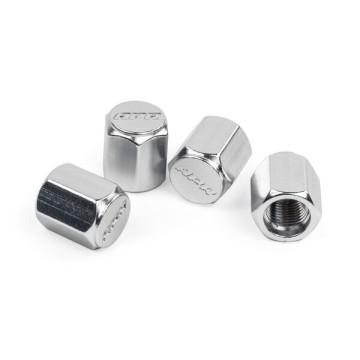 APR VALVE STEM CAPS, SILVER, P
