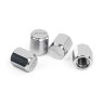 APR VALVE STEM CAPS, SILVER, P