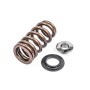 VALVE SPRING KIT, INDIVIDUAL
