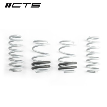 CTS Turbo Audi 8V S3/RS3 Lowering Springs
