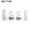CTS Turbo Audi 8V S3/RS3 Lowering Springs