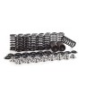 Ferrea Valve Spring/Retainer Kit FSI 2.0T