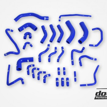 Audi RS6 C5 2002-2004 Vacuum hoses Blue