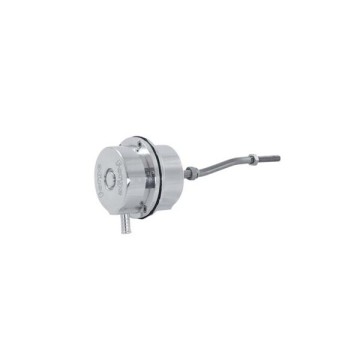 Ford Fiesta RS Adjustable Actuator