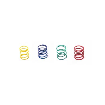 Dump Valve Spring (Single)