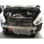 Peugeot 208 GTi & Citroen DS3 Hardpipes