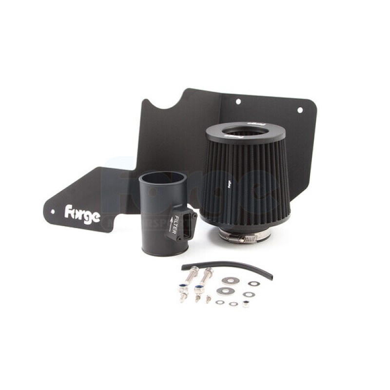 Intake for the Ford Fiesta ST180
