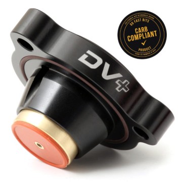 Diverter Valve