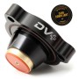 Diverter Valve