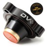 Diverter Valve