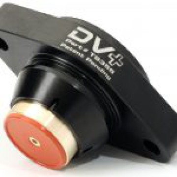 Diverter Valve