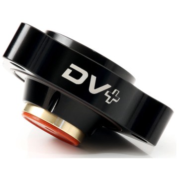 Diverter Valve