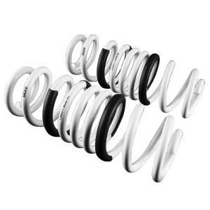 LEYO MK7/7.5 R Lowering Springs
