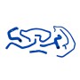 FORD FOCUS SVT SILICONE RADIATOR HOSE KIT, 2002-2004, BLUE