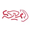 FORD FOCUS SVT SILICONE RADIATOR HOSE KIT, 2002-2004, RED