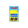 VW ARP Ring Gear Bolt Kit (020) (M9)