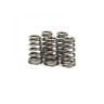 VW 2.0 TFSI/TSI '09-up' Ferrea Valve Spring Kit