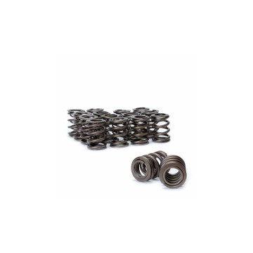 Mitsubishi EVO 4-9 4G63 Ferrea Dual Valve Spring Kit