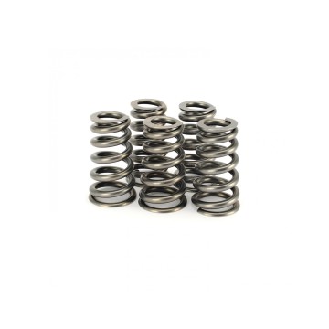 Nissan GT-R VR38DETT Ferrea Single Valve Spring Kit