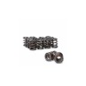 Toyota 1.8L (2ZZ-GE) '08' Ferrea Dual Valve Spring Kit