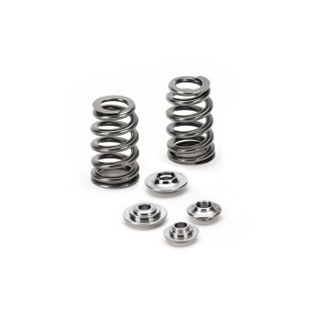 Ford GT 5.4L 32V Ferrea Beehive Valve Spring Kit