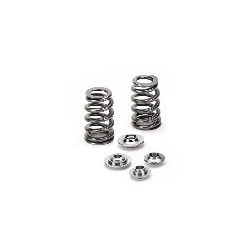 Ford GT 5.4L 32V Ferrea Beehive Valve Spring Kit