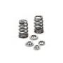 Ford GT 5.4L 32V Ferrea Beehive Valve Spring Kit