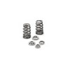 Ford GT 5.4L 32V Ferrea Beehive Valve Spring Kit
