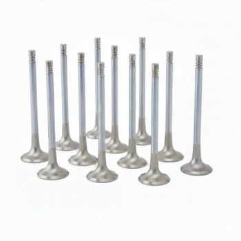 Audi 3.0L RS4, RS5 (EA839) ZRP Exhaust Valve Inconel +2.0mm (Set of 12)