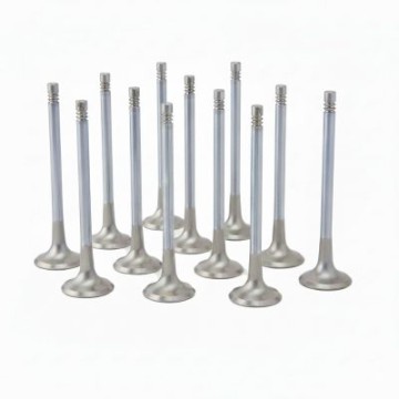 Audi 3.0L RS4, RS5 (EA839) ZRP Exhaust Valve Inconel +2.0mm (Set of 12)