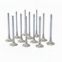 Audi 3.0L RS4, RS5 (EA839) ZRP Exhaust Valve Inconel +2.0mm (Set of 12)