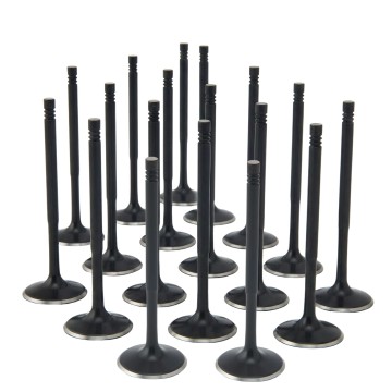 Audi / VW 2.7L S4 30v APB Turbo ZRP Std Intake Black Nitride Valves