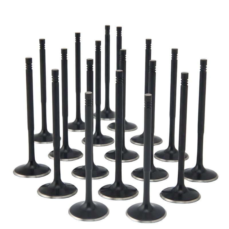 Audi / VW 2.7L S4 30v APB Turbo ZRP Std Intake Black Nitride Valves