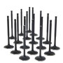 Audi / VW 2.7L S4 30v APB Turbo ZRP Std Intake Black Nitride Valves