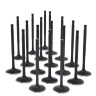 Audi / VW 2.7L S4 30v APB Turbo ZRP Std Intake Black Nitride Valves
