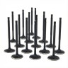 Audi / VW 4.2L R8 32v 8v FSI ZRP Std Intake Black Nitride Valves