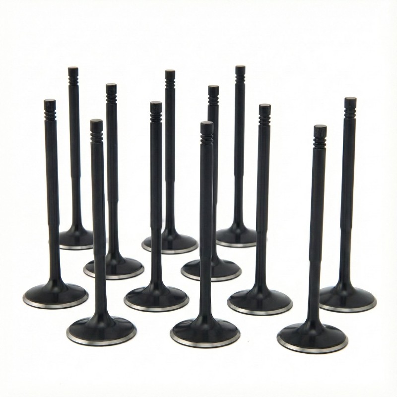 BMW 3.2L S50, S54 ZRP Std Intake Black Nitride Valves
