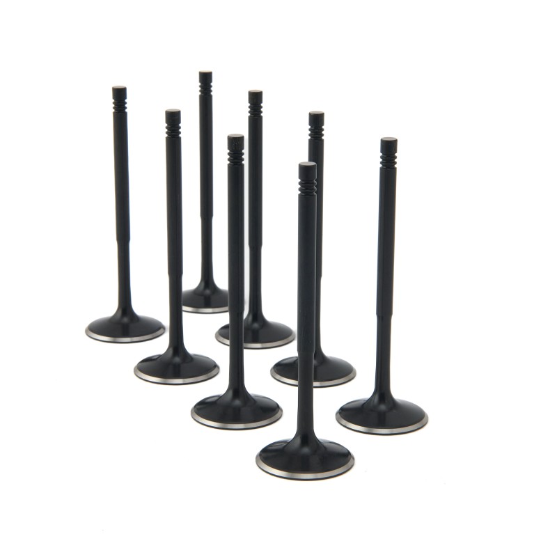 BMW 1.8L M42 ZRP Std Intake Black Nitride Valves