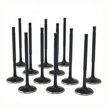 BMW 3.0L N54 ZRP Std Intake Black Nitride Valves