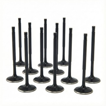 BMW 3.0L N54 ZRP Std Intake Black Nitride Valves