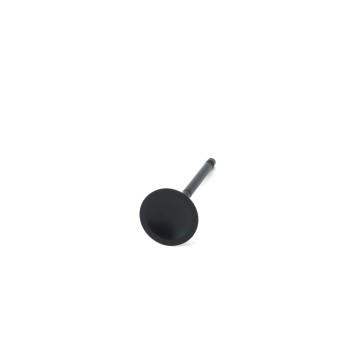 BMW 3.0L N55, S55 ZRP Std Intake Black Nitride Valves