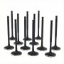 BMW 3.0L N55, S55 ZRP Std Intake Black Nitride Valves