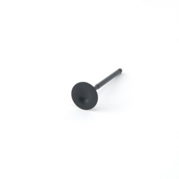 Toyota 3.0L 2JZ Supra ZRP Std Intake Black Nitride Valves