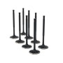 Audi / VW 1.4L TFSI (EA211) ZRP Std Intake Black Nitride Valves