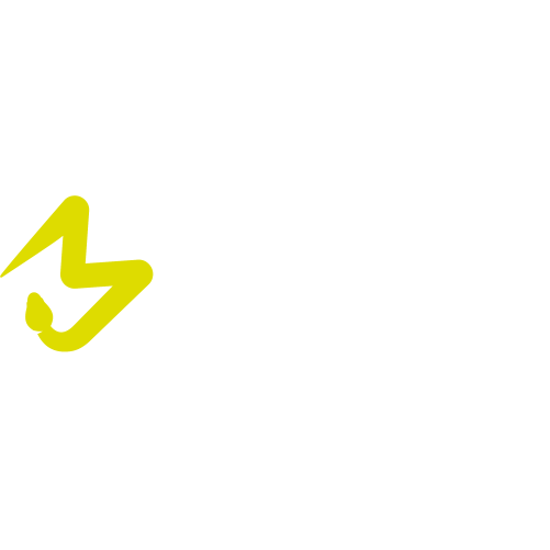 Black Mamba